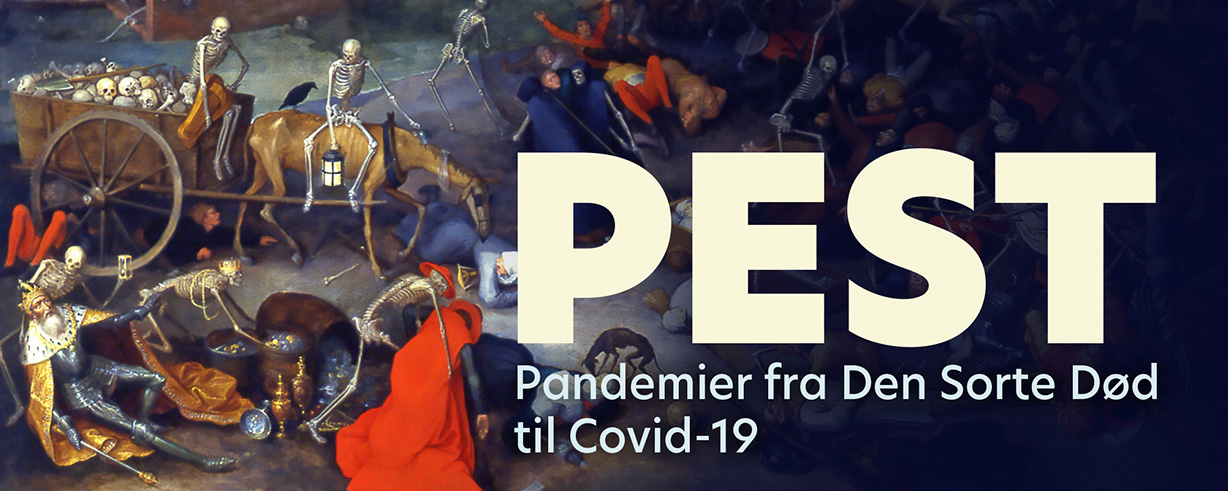 Pest Pandemier Fra Den Sorte D d Til Covid 19 Pest pest-pandemier-fra-den-sorte-d-d-til-covid-19-pest