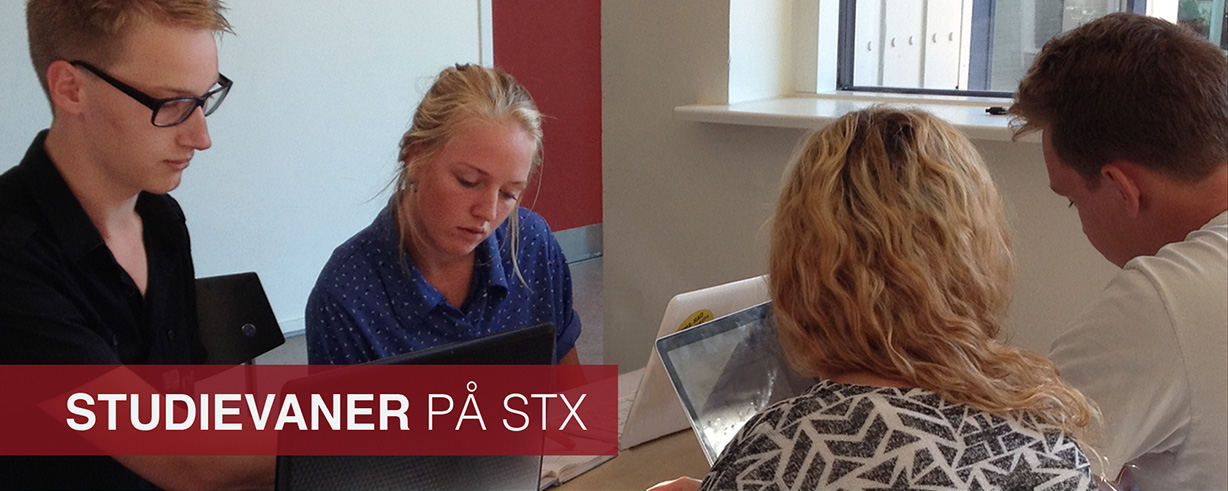 Dansk A Mundtlig Eksamen Stx