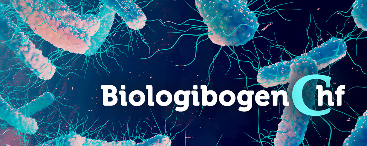 2.3 Genetik | Biologibogen C hf